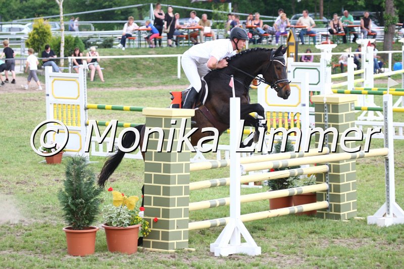 105M2569_Piatotta Z_Spring_L.JPG